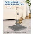 thumbnail image 5 of Cat Scratching Post, 5 of 5