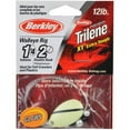thumbnail image 2 of (4 pack) Berkley Walleye Mono Rig, Glow/Black Stripe Indiana Blade, 4, 2 of 7