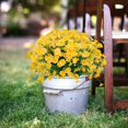 thumbnail image 2 of 4 Bundles Artificial Daisies Flowers for Garden,UV Resistant Fake Greenery Decor for Window Indoor Office(Yellow), 2 of 7