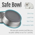 thumbnail image 6 of OFEFE 2-Pack Non-Slip Stainless Steel Dog & Cat Bowls - 2 Cup Capacity Pet Food & Water Bowls with Silicone Base for Small Pets Under 20lbs (5.5" Diameter, Metal & Silicone), 6 of 6