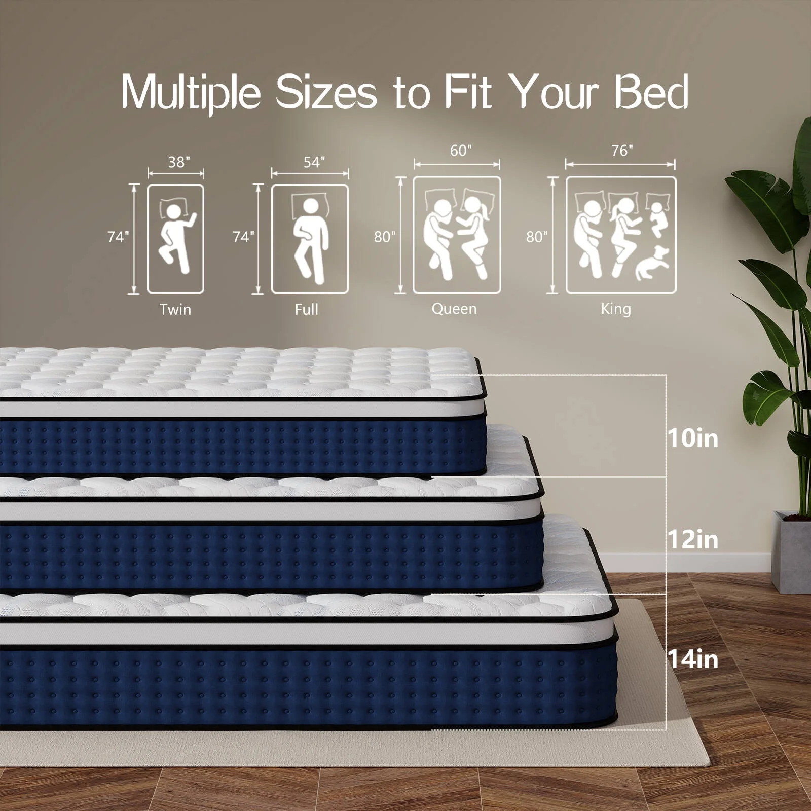 12 in
