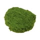 thumbnail image 5 of 5 Plantas Artificiales En Macetas, Manualidades, Relleno, Decoración Para Patio, 50 G, Sintético Verde Oscuro, 5 of 8