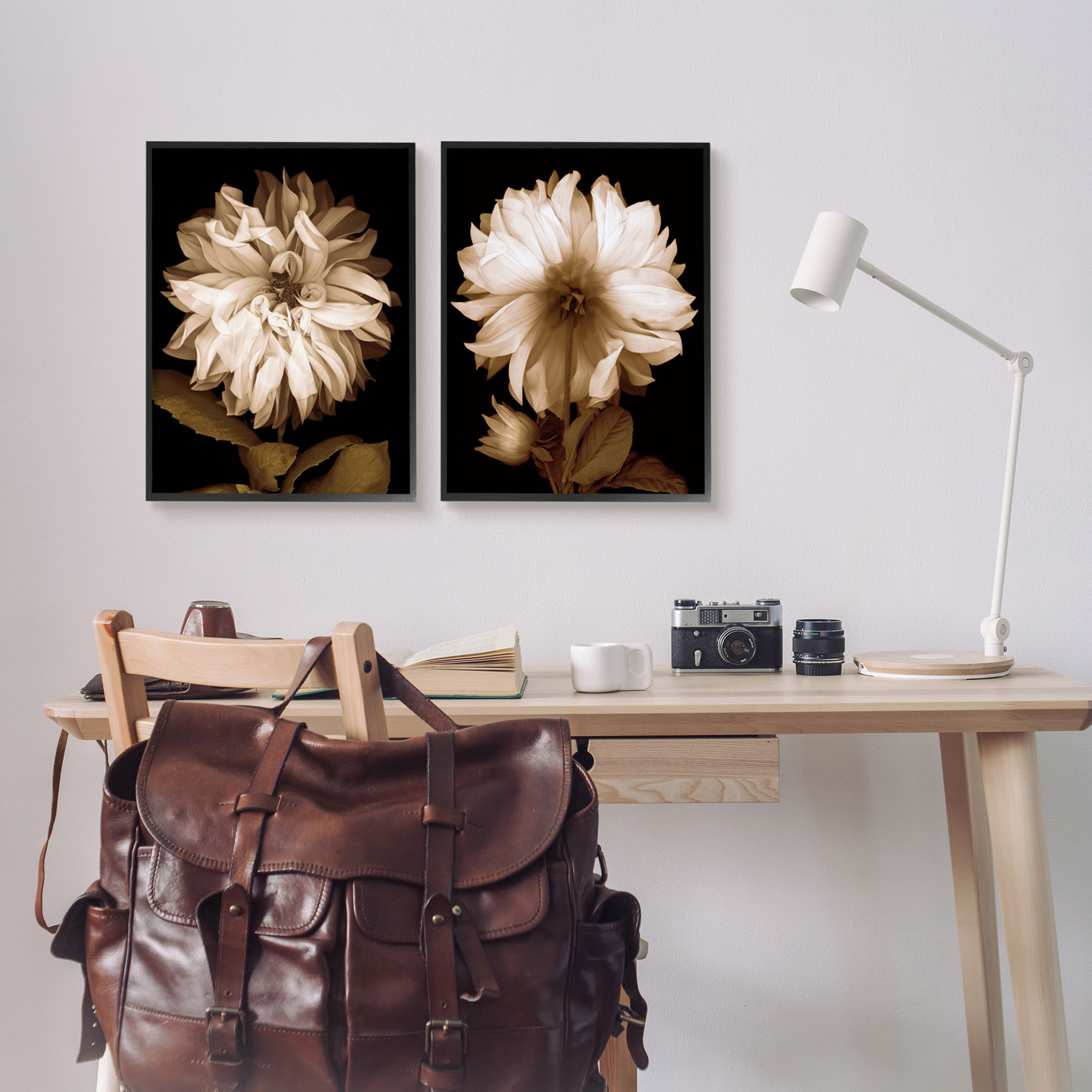 Stupell Sepia Chrysanthemum Flower Blooms Botanical & Floral Photography Black Framed Art Print Wall Art, Set of 2