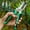 Green, variant on COM1950s 3 Pack Garden Pruning Shears, Garden Clippers Tools, Handheld Scissors Set, Stainless Steel Precision Blades Pruning Shears Tree Trimmers