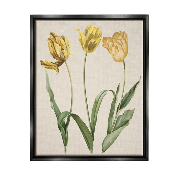 Stupell Industries Three Tulip Sprigs Botanical & Floral Painting Black Floater Framed Canvas Art Print Wall Art, 17 x 21