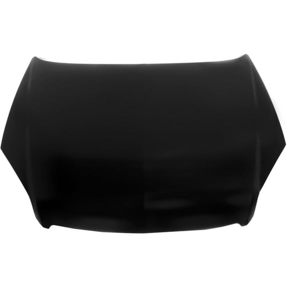 Hood for 2006-2007 Chevrolet Monte Carlo OE Replacement C130136