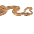 thumbnail image 4 of Animal marino del océano, varios mini juguetes plásticos de la animal, constrictor Zulema Estatuillas de animales juguete, 4 of 8