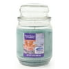 Better Homes & Gardens 13 Ounce First Woodland Frost Jar Candle