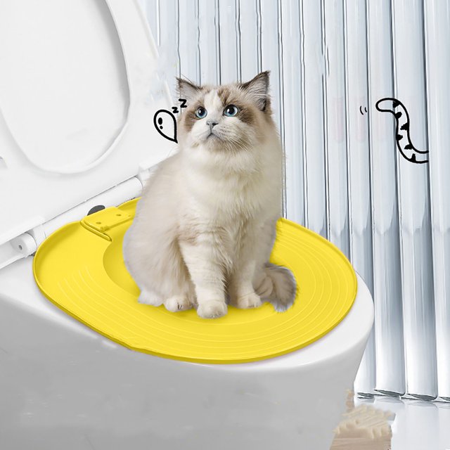 Kit de entrenamiento para asientos de inodoro para gatos, inodoro reutilizable para sentarse y agacharse, caja de arena para gatos, cajas de arena para gatos