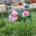 thumbnail image 4 of 16 x 14 inch Peony Cages,Grow Through Plant Support Stakes, Flower Support Hoops Heavy Plants Brace Rings, 2 Pack, 4 of 9