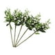 thumbnail image 1 of Tallos de Bayas Vibrantes Juego de 5 Bayas Artificiales Frutas y Flores Realistas para Ramos de Novia DIY Celebraciones de Fiestas en Casa ANGGREK  Otros, 1 of 8