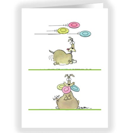 Stonehouse Collection | Funny Dog Birthday Card | You're Amazing Birthday Card |