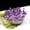 B:200-300g (approx.), variant on MATROOY Natural Amethyst Cluster Quartz Crystal Mineral Specimen Reiki Healing-B:300-400g (approx.)
