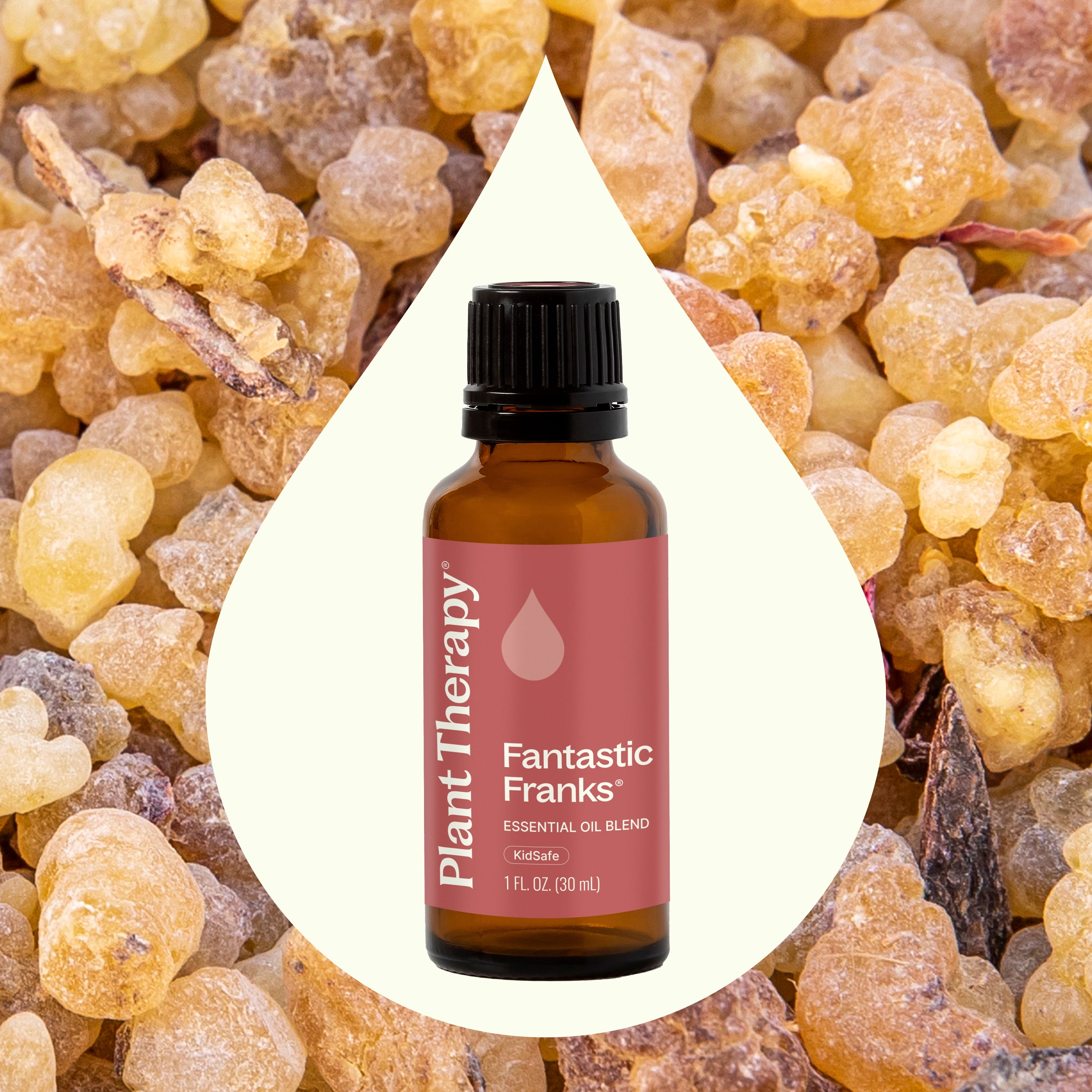 Plant Therapy Fantastic Franks Essential Oil Blend 30 mL (1 oz) 100% Pure, Undiluted, Natural Aromatherapy