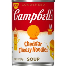 Packaged Campbell's Condensed Homestyle Chicken Noodle Soup
