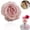 AB, variant on Simulated Edge Anna Rose Head Simulated Flower(4.33", 1PC)