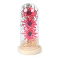 thumbnail image 3 of 3 ramo de flores secas de girasol, lámpara de cristal con forma de sésamo, luz LED de noche con forma de flor eterna, regalo de vacaciones, 3 of 6
