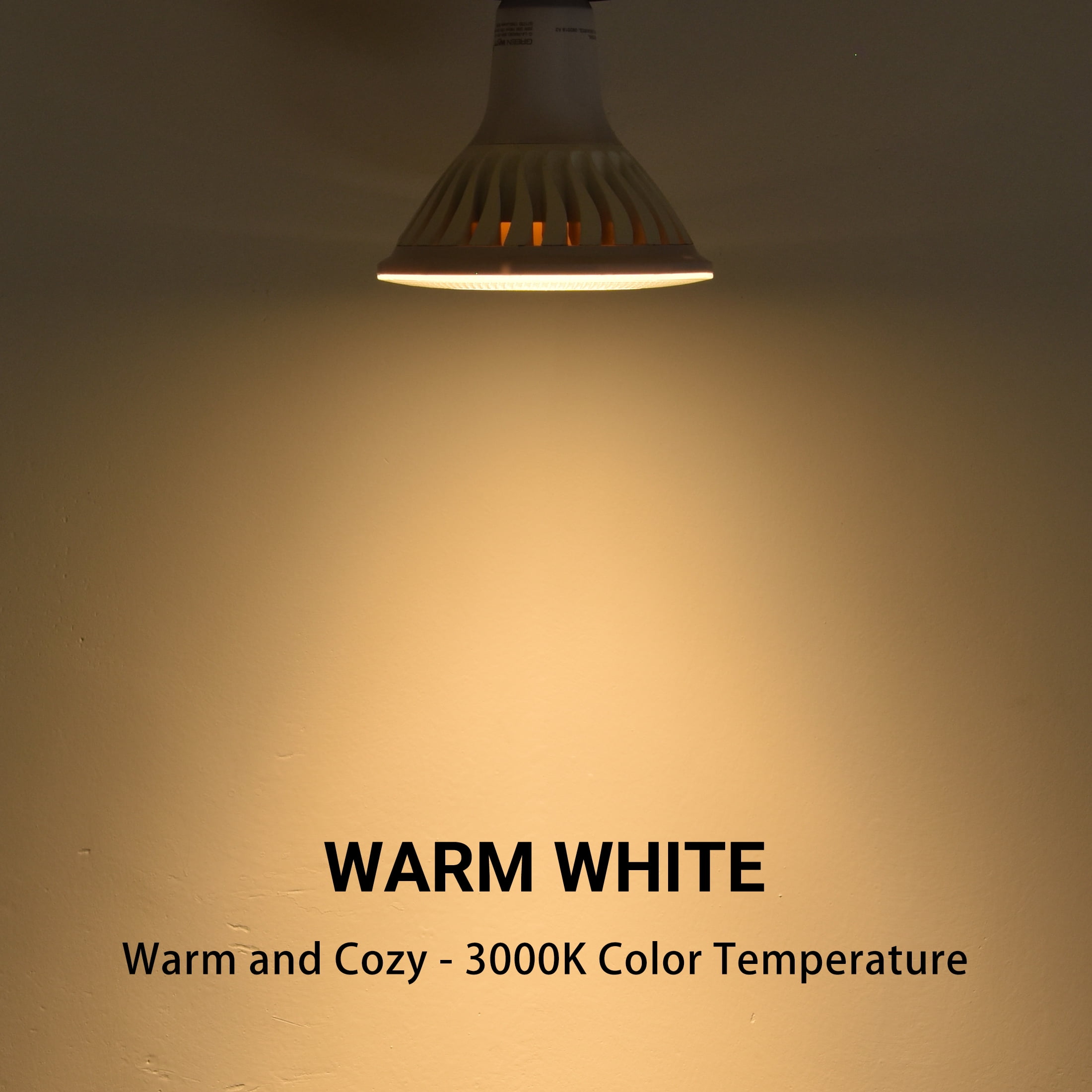 Green Watt PAR38 Outdoor LED Flood Light Bulb, 20-Watt (150-watt equivalent), 1700 Lumen, Warm White, 12-Pack