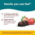thumbnail image 5 of Nature Made Wellblends Stress Relief Gummies with L theanine and GABA, 40 Count, 5 of 8