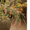 thumbnail image 6 of Artificial Large Rosemary Stem 49" Tall, 6 of 9
