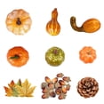 thumbnail image 1 of Juego de calabaza y calabaza artificiales para Acción de Gracias: cree una sensación de ambiente festivo, 1 of 6