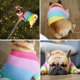 thumbnail image 3 of Suéter arcoíris para perros, ropa colorida tejida para perros de invierno para mascotas, 3 of 8