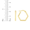 thumbnail image 3 of Floreo 14k Yellow Gold 23mm Hexagon Hoop Earrings, 3 of 3