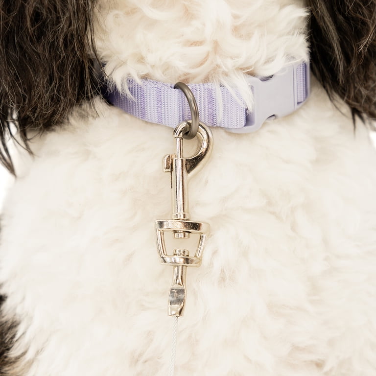 Small Dog Tie-Out Cable, 10 Ft, 50 Lb Capacity photo 7