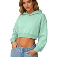 thumbnail image 5 of Felirenzacia Women's Cropped Hoodie, 350g Hooded Sweatshirt, Elastic Waistband Cuffed Pullover Tops, S-3XL, 5 of 7