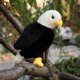 thumbnail image 2 of 25/35/45CM Simulated Bird Plush Toys Lifelike Flamingo Pelican Vulture Eagle Stuffed Wild Animal Doll Cute Home Ornament GiftsPelicans25cm Deng Xun unisex, 2 of 2