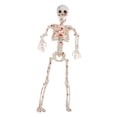 thumbnail image 4 of Estatua de esqueleto de Halloween, figura de esqueleto humano articulado, adorno de articulación móvil, estatua espeluznante hecha de PP, adecuada par, 4 of 9