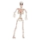thumbnail image 4 of Estatua de esqueleto de Halloween, figura de esqueleto humano articulado, adorno de articulación móvil, estatua espeluznante hecha de PP, adecuada par, 4 of 9