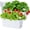 White, variant on Window Box Planter 6 Packs, 13.8 Inches Rectangle Flower Pots with Drainage Holes & Trays, Pots for Vegetables, Herbs, Flowers, Garden Windowsill Balcony (Translucent White)
