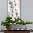 thumbnail image 5 of Plantas artificiales Bonsai árbol plantas de imitación exhibición de escritorio, simulación de pino planta en maceta for decoración del hogar decoración del jardín, 5 of 5