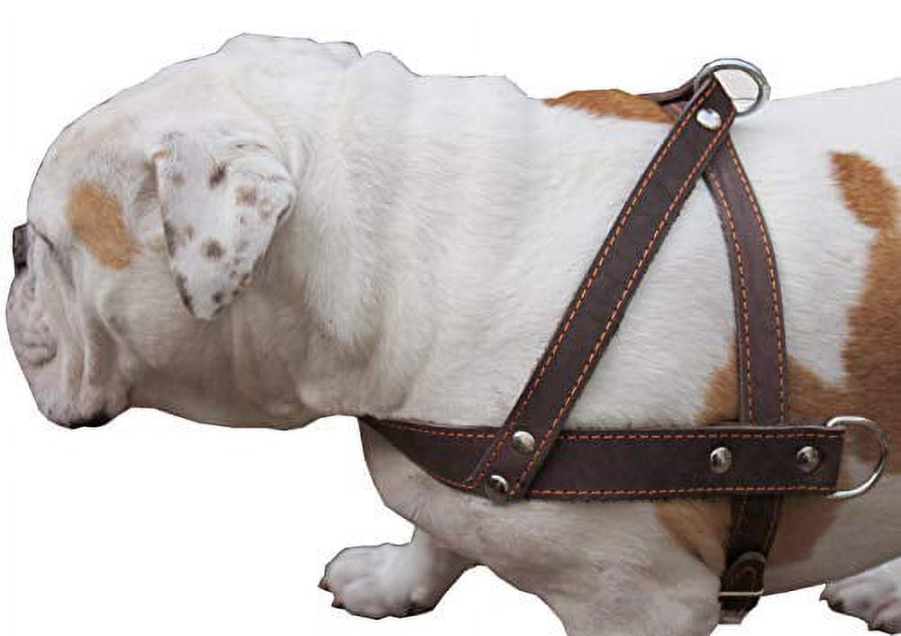 High Quality Brown Leather Dog Pulling Walking Harness Large. 31"-35" Chest, 1.5" Wide Straps
