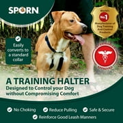 Sporn Training Dog Halter, Blue, Medium (12-17 Neck Size)