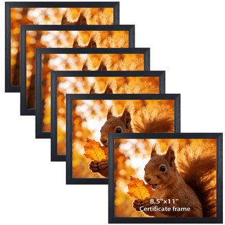 Gallery Solutions - 8