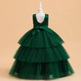 thumbnail image 5 of Delliss Girls Princess Dress Tulle Lace Flower Sleeveless Puffy Dress Fashion Casual Dresses, 5 of 9