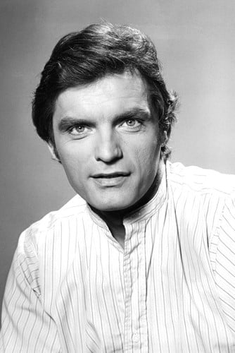 David Selby In Falcon Crest 24x36 Poster - Walmart.com