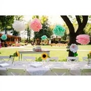 Exquisite 9 Clear Disposable Party Plastic Plates, 100 Count, Heavy Duty 350 GSM Plate