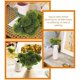 thumbnail image 4 of 12Pcs Realistic Dandelion Artificial Flowers Decor Dandelion Bunches Dandelion Decors Home Decors, 4 of 4