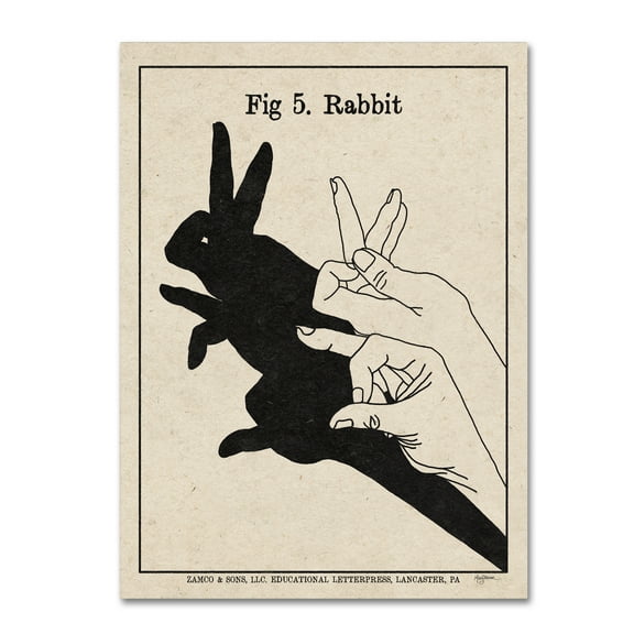 Trademark Fine Art 'The Art of Shadows V' Canvas Art by Mary Urban