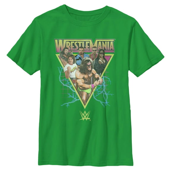 Boys WWE Retro Wrestlers Triangle T Shirt
