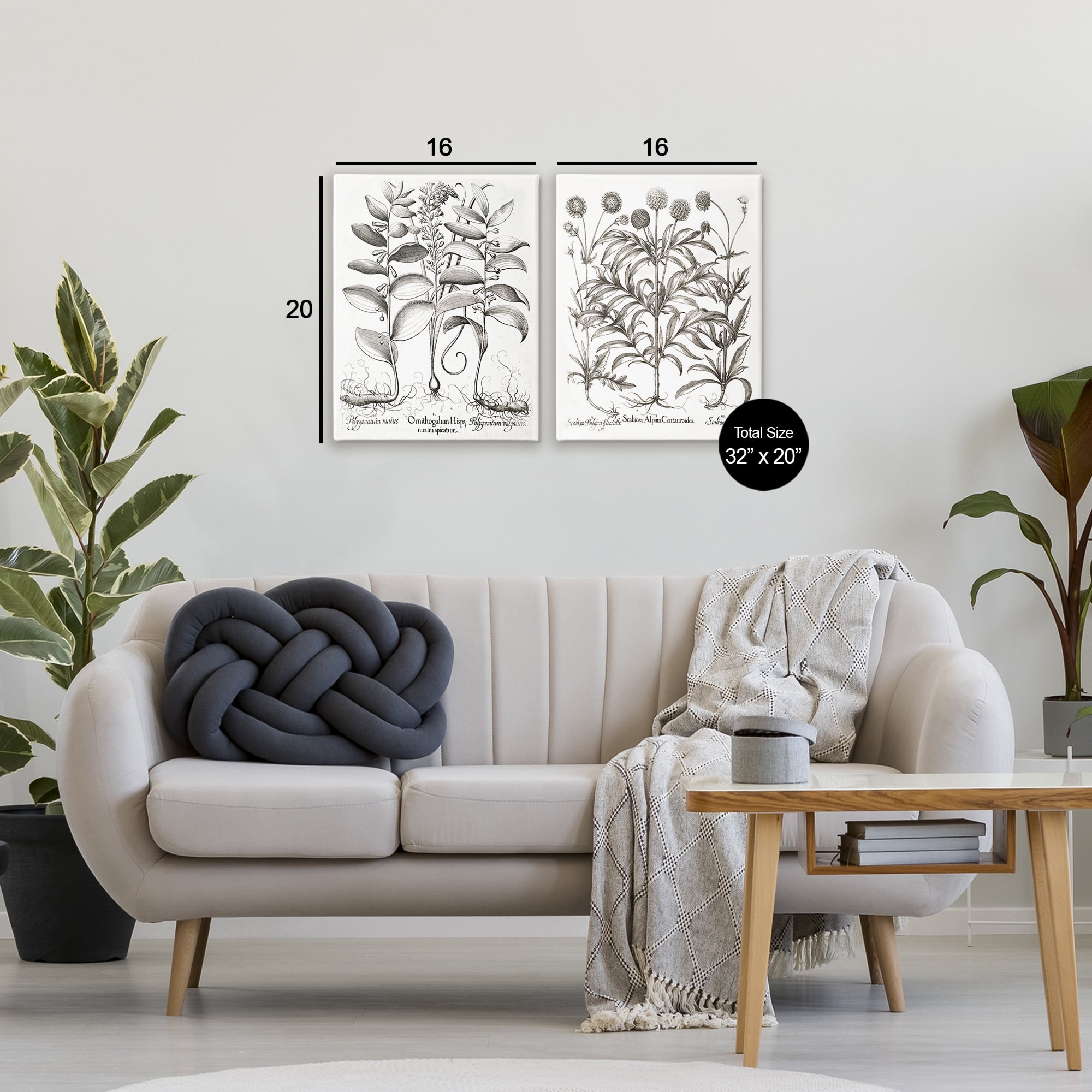 Botanical Root & Plant Studies 2 Piece Canvas Wall Art Set, design by Lettered and Lined