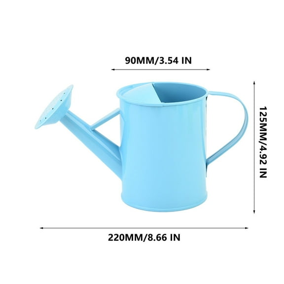 600ML Iron Watering Can for Plants | Long Spout Garden Watering Pot | Durable Wrought Iron Design | Ergonomic Handle | Indoor & Outdoor Use