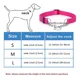 thumbnail image 4 of Collar De Perro Martingale Con Cadena De Acero Inoxidable..., 4 of 5