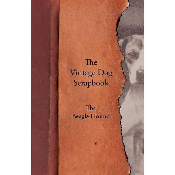 The Vintage Dog Scrapbook - The Beagle Hound (Paperback)