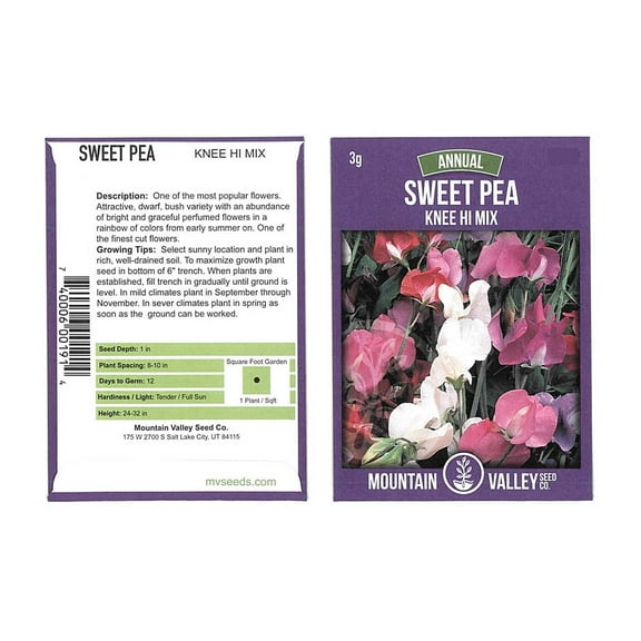 Sweet Pea Flower Garden Seeds - Knee Hi Mix - 3 g Packet - Annual Flower Gardening Seeds - Lathyrus odoratus