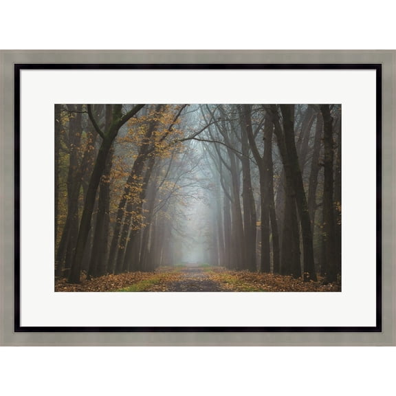 Great Art Now Moody Autumn by Martin Podt, Framed Wall Art, 27W x 20.5H