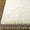 thumbnail image 2 of BoutiqueRugs Birdwell Bohemian, Transitional Area Rug - Black, Cream - 8' x 10', 2 of 9